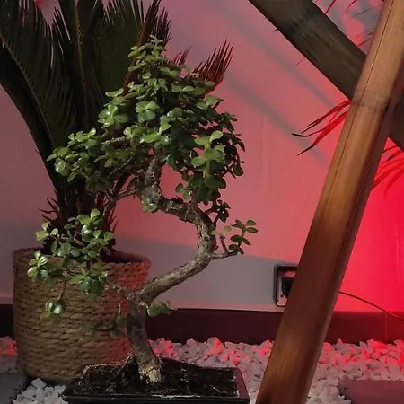 Lejlighed Les Souvenirs D'alsace Colmar