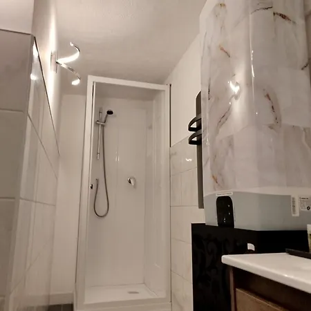 Les Souvenirs D'alsace Lejlighed Colmar