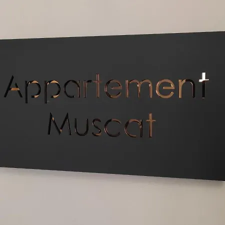 Les Souvenirs D'alsace *