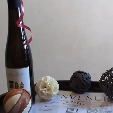 Les Souvenirs D'alsace Apartamento