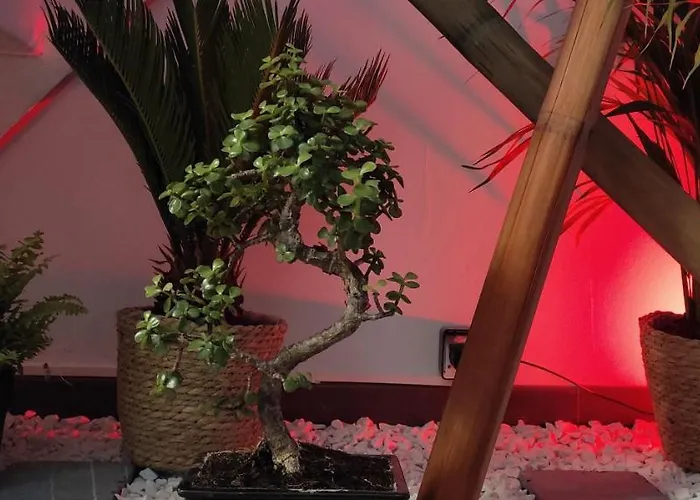 Apartamento Les Souvenirs D'alsace Colmar