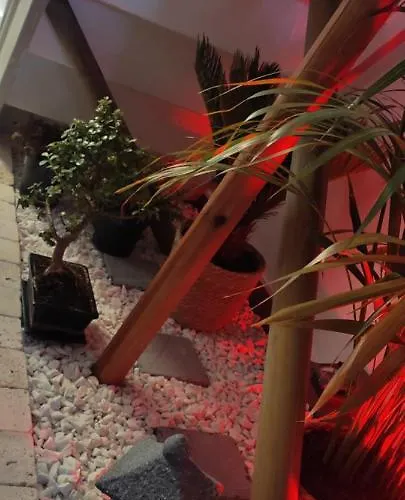 Les Souvenirs D'alsace Colmar